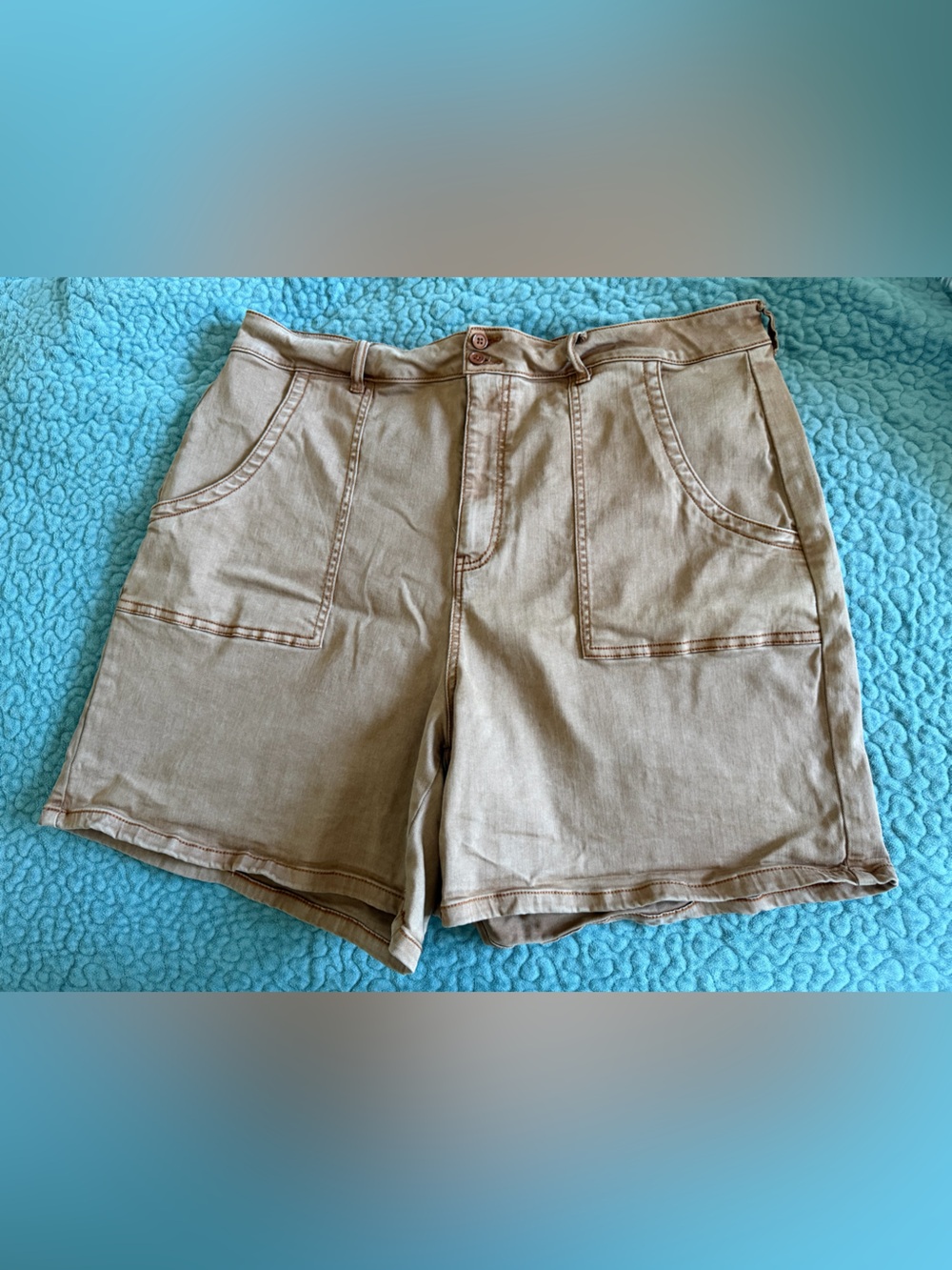 SEAS Seventy Eight and Sunny Tan Stretch Shorts Tencel Plus Size 18W
